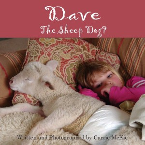 dave the sheep dog cover